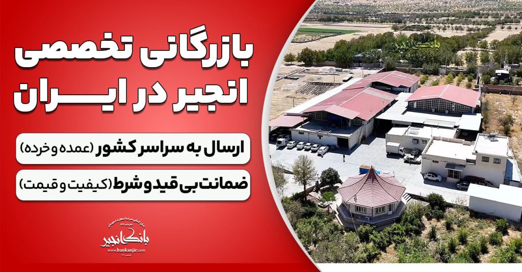مجتمع بانک انجیر